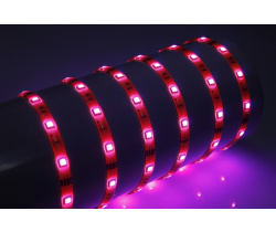 NEW FLEX-SDP5150B-RGB IP65 белая основа (RGB)