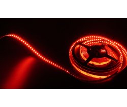 FLEX-SS5600B-R-5M Гибкая LED полоса,12V, белая основа (Красная)