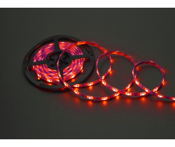NEW FLEX-SDP5150B-R IP65 белая основа (Красная)