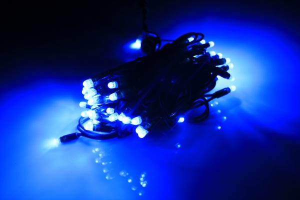 LED-PLR-100-10M-240V-B/BG Светодиодная гирлянда фиксинг 10м, IP65, 240V, синие LED/провод каучук фото 1
