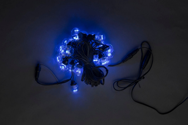 LED-2BLR-50CM-10M-240V-B Гирлянда Белт-лайт 10м, IP65, 20 синих ламп/черный провод. Neo-Neon фото 1