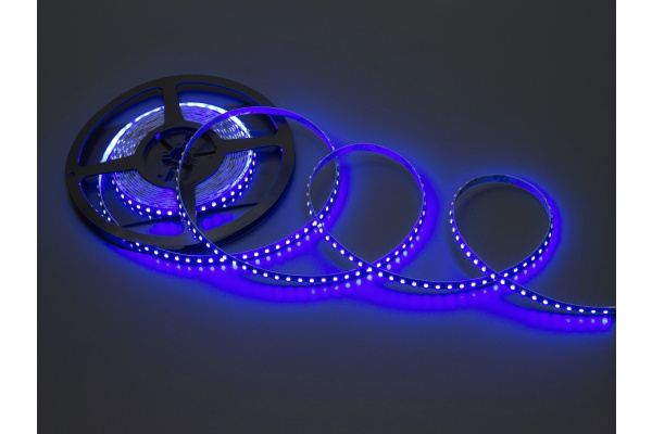 NEW FLEX-SS5600B-B 5M Гибкая LED полоса,12V, белая основа (Синяя) фото 1