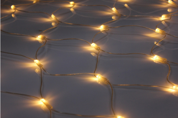 LED-SNL-540-2*4M-240V-WW/C Гирлянда Сеть 2*4 белые теплые LED/прозрачный провод соединяемая Neo-Neon фото 2